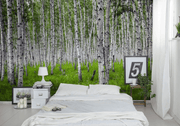 Bright Birch Forest Wall Mural-Landscapes & Nature,Patterns,Textures,Best Rated Murals-Eazywallz