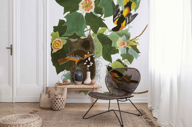 Papier Peint Orioles