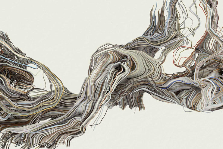 Papier Peint Cendres Dans le Vent