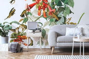 Papier Peint Colibri
