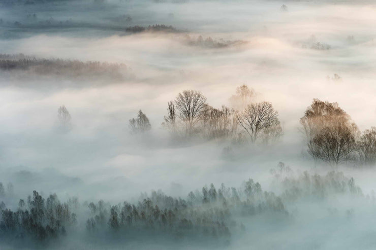 Papier Peint Photo Brouillard d'Hiver