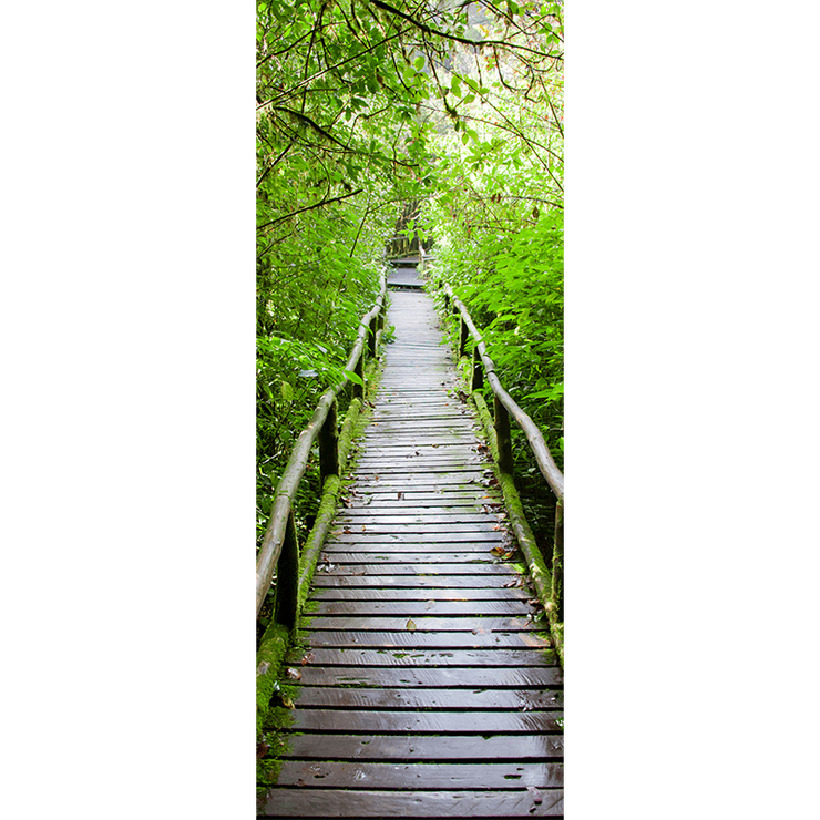 Décor de porte Sentier en bois à travers la forêt tropicale