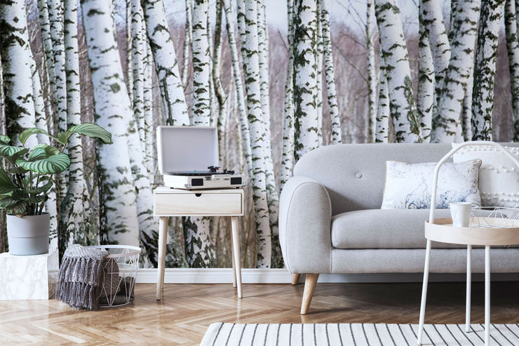 Birch Forest Wallpaper Mural