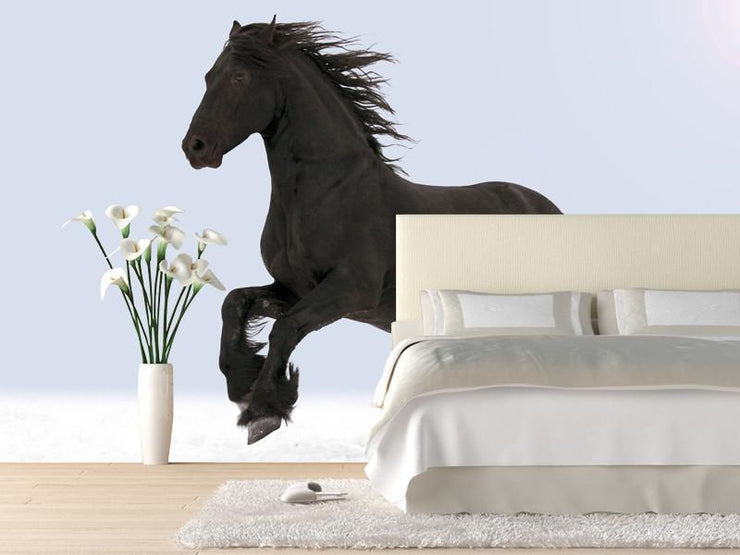 Black horse Wall Mural-Animals & Wildlife-Eazywallz