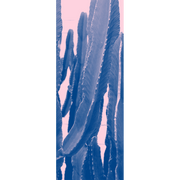 Cactus Art Door Mural-Landscapes & Nature-Eazywallz