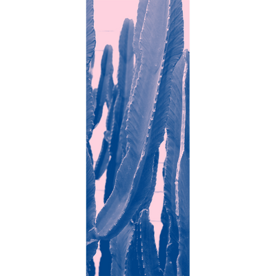 Cactus Art Door Mural-Landscapes & Nature-Eazywallz