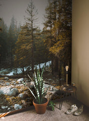 Golden Hour at Yosemite Park Wall Mural-Landscapes & Nature-Eazywallz