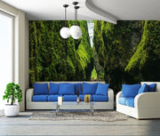Green River Ravine Wall Mural-Landscapes & Nature-Eazywallz