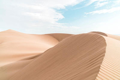 Middle of the Desert Wall Mural-Landscapes & Nature-Eazywallz