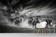 Photo Wallpaper Sky, Dust and Elephants