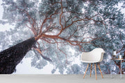 Photo Wallpaper Winter Tree