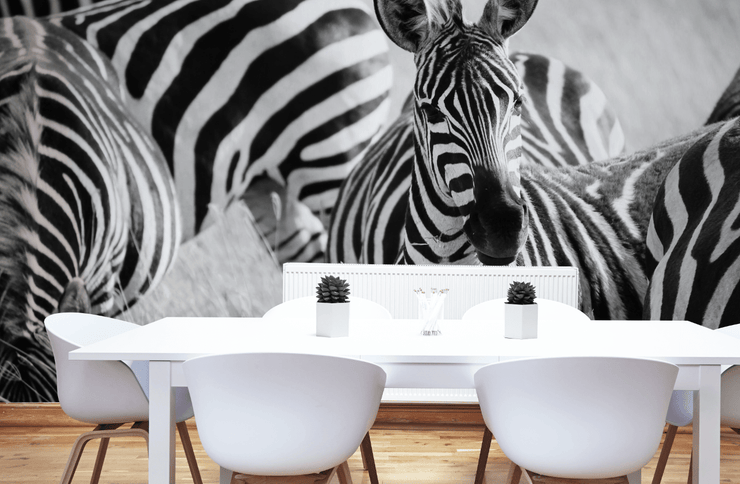 Zebras in Tanzania Wall Mural-Animals & Wildlife,Black & White,Textures,Staff Favourite Murals-Eazywallz